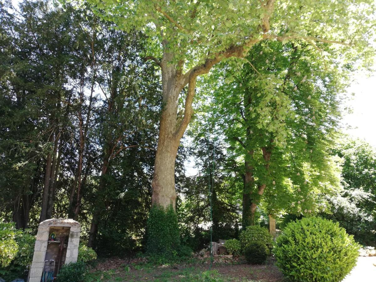 Manoir De La Touche Bed and Breakfast Azay-le-Rideau Exteriör bild